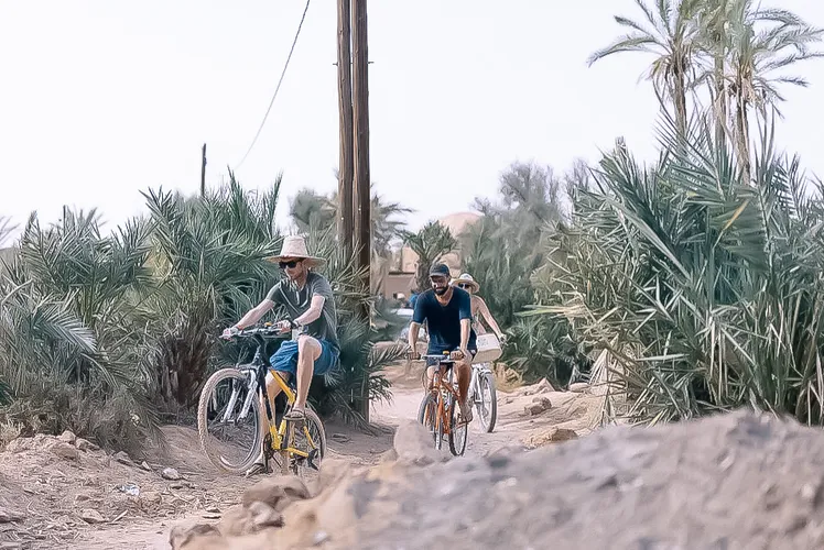 Marrakesh Desert & Oasis Tour