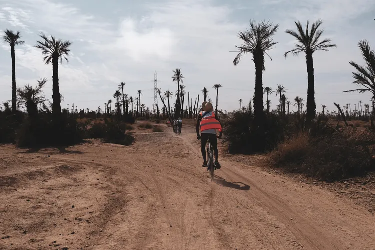 Marrakesh Desert & Oasis Tour