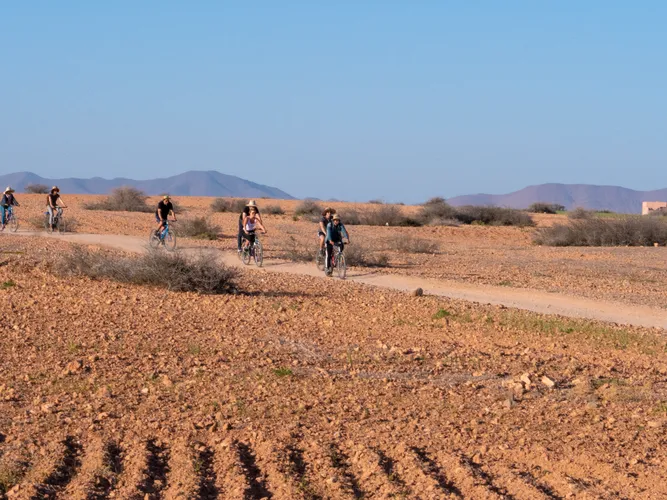 Marrakesh Desert & Oasis Tour